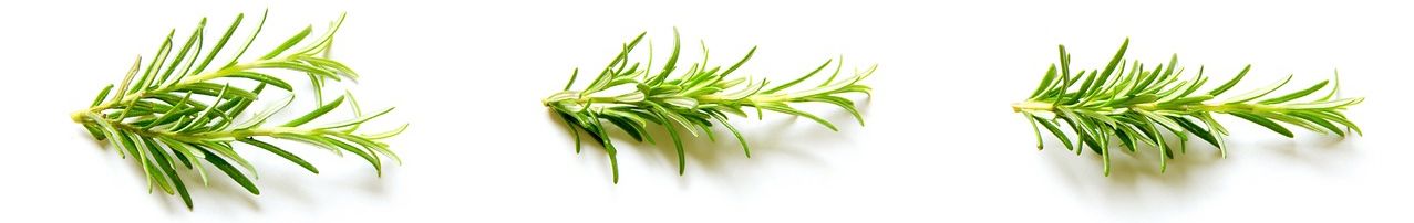 nutritionniste yverdon nutritionniste yverdon